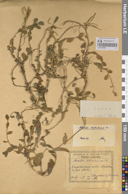 LE 01220598