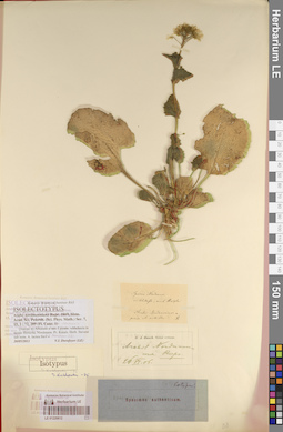 LE 01220612