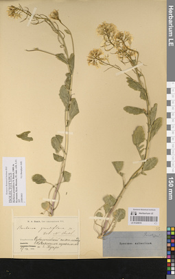 LE 01220619