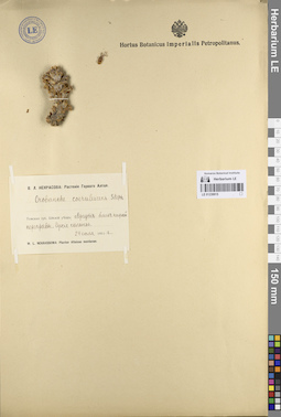 LE 01239915
