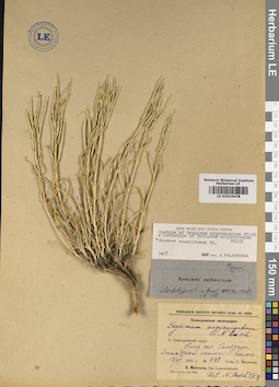 LE 01010478