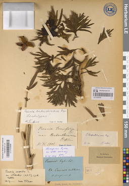LE 01220193