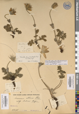 LE 01026044