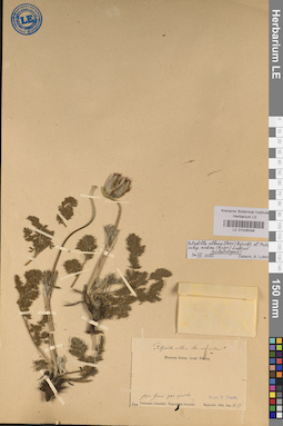 LE 01026046
