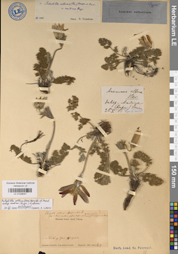 LE 01026047