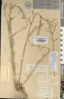 LE 01010483