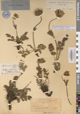 LE 01026048