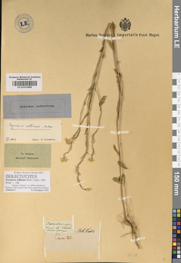 LE 01010485