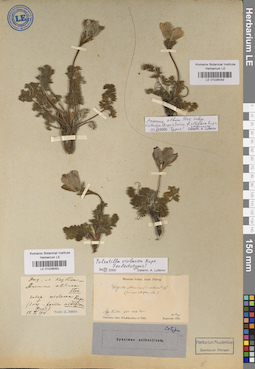 LE 01026049