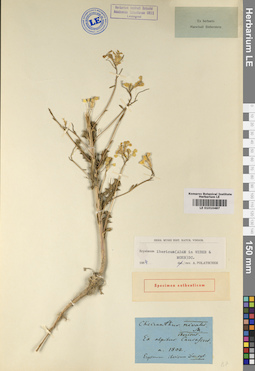 LE 01010487