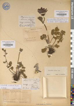 LE 01026052
