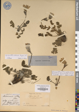LE 01026054