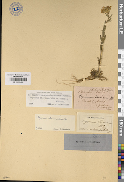 LE 01010488