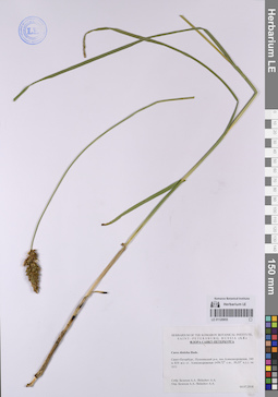 LE 01120655