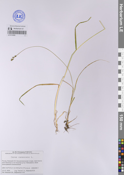 LE 01101893