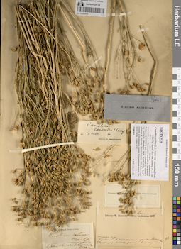 LE 01053073