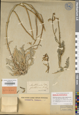 LE 01041515