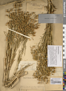 LE 01053074