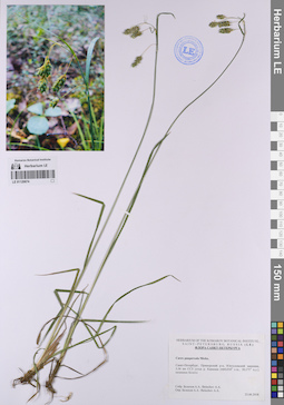 LE 01120674