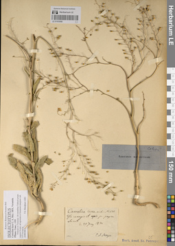 LE 01053088