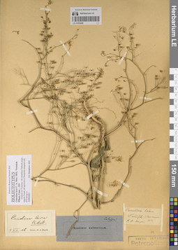 LE 01053089