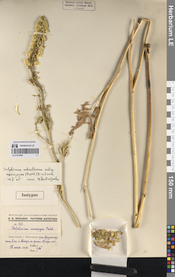 LE 01072668