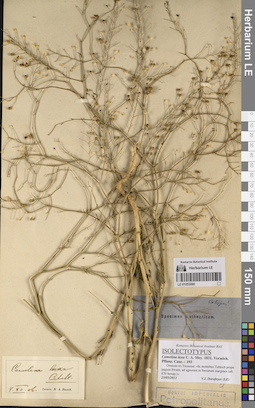 LE 01053090