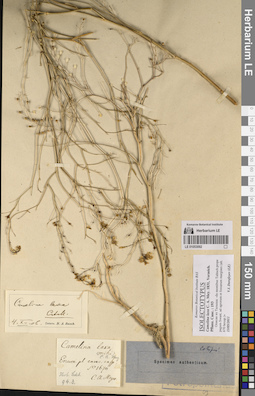 LE 01053092