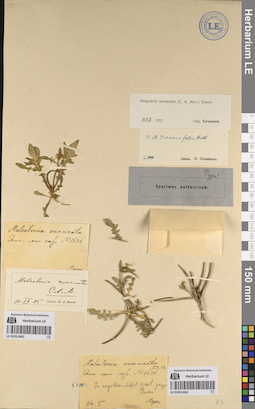 LE 01051863