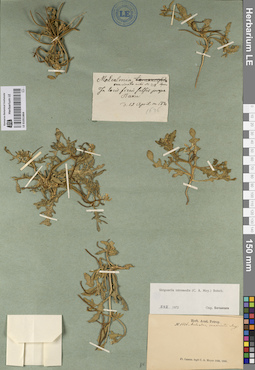 LE 01051864