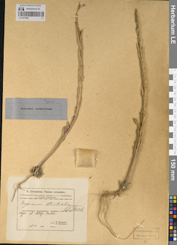 LE 01072952