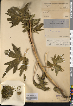 LE 01220152