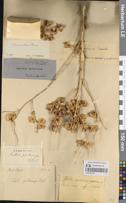 LE 01221186