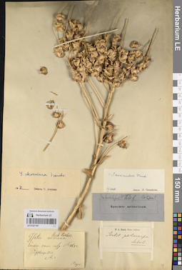 LE 01221187