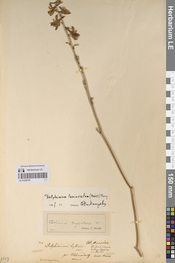LE 01220155