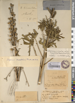 LE 01220157