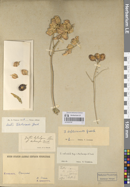LE 01221197