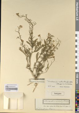 LE 01220645