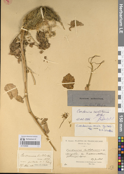 LE 01220648