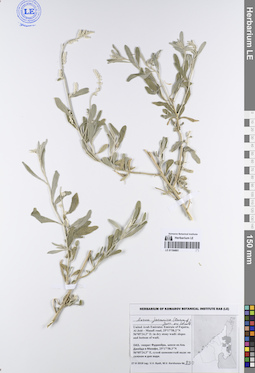 LE 01194801