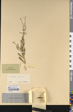 LE 01220661