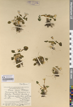 LE 01220191