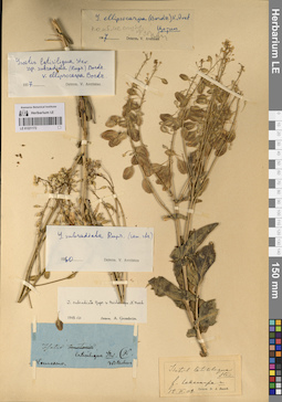LE 01221172