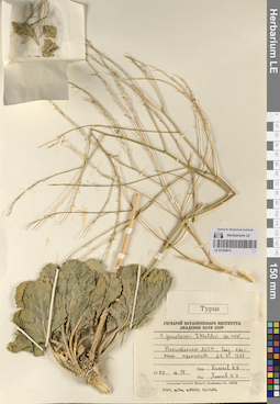 LE 01220674
