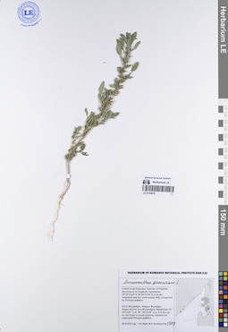 LE 01194816