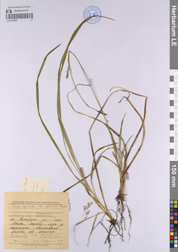 LE 01119355