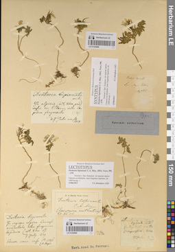 LE 01220686