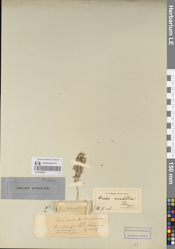 LE 01220693