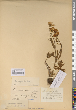 LE 01220229