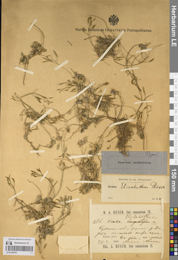 LE 01220702